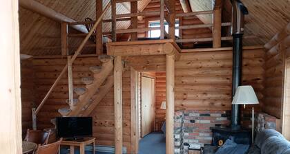 Nice little cabin just south of Dillon.