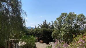 Een tuin met diverse planten en bomen, een houten terras en uitzicht op het omliggende landschap.