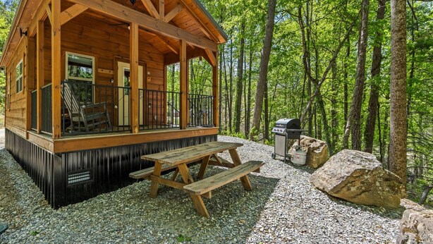 Una baita di legno con veranda, tavolo da picnic e barbecue in un ambiente boschivo.