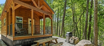 Appalachian Escape Tiny Home Near Nantahala River