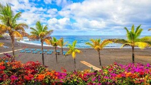 Una playa con palmeras, flores coloridas y un cielo despejado.
