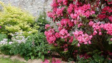 DĂ©tail de lâextĂ©rieur