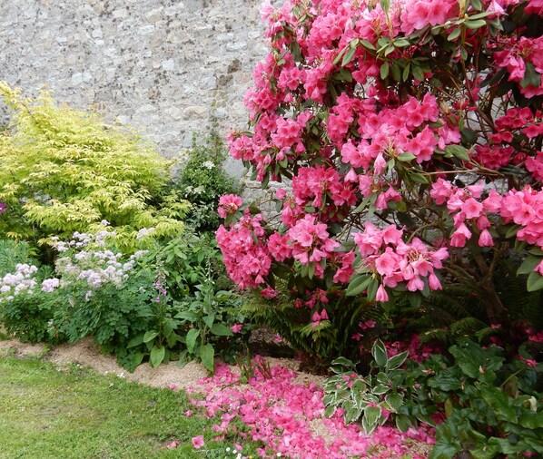 Exterior detail - Holiday Home 'Les Coquelicots Proche Mer' with Private Terrace, Garden & Wi-Fi (Paimpol)