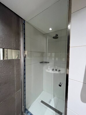 Hair dryer, bidet, towels, soap