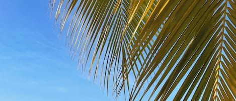 Beach nearby, beach towels