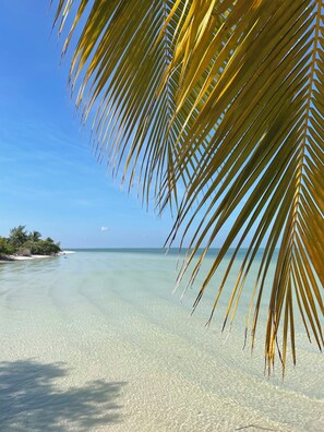 Beach nearby, beach towels - Seaside 2BR Penthouse with Pool & Ocean Views - C301 (Holbox)