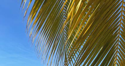 Seaside 2BR Penthouse with Pool & Ocean Views - C301