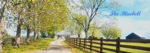 A rural pathway leading to a white house with a wooden fence on one side. - The Bluebell/ FARM HOUSE/The Ark 8.6 miles/Walmart 3 miles/CLEAN! (Dry Ridge)