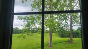 Vista a través de una ventana con un diseño de cruz, mostrando un campo cubierto de hierba y árboles.