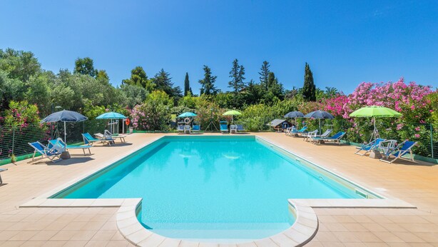 Une piscine entourée d’arbres et de fleurs, avec des chaises longues et des parasols.