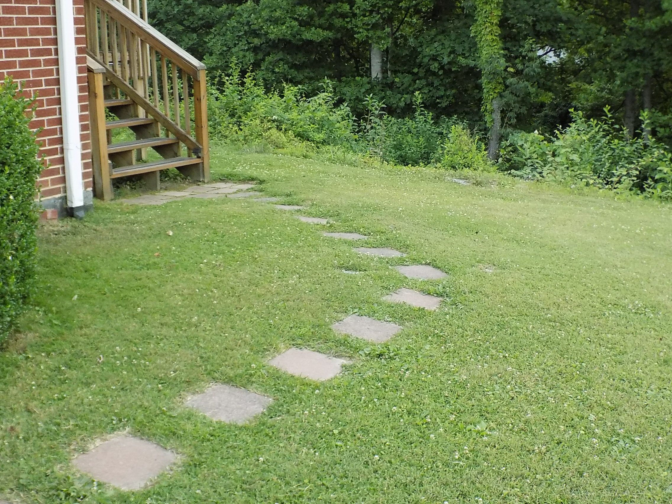 A garden with a stone pathway leading to a wooden staircase.