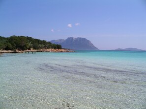 Vlak bij het strand