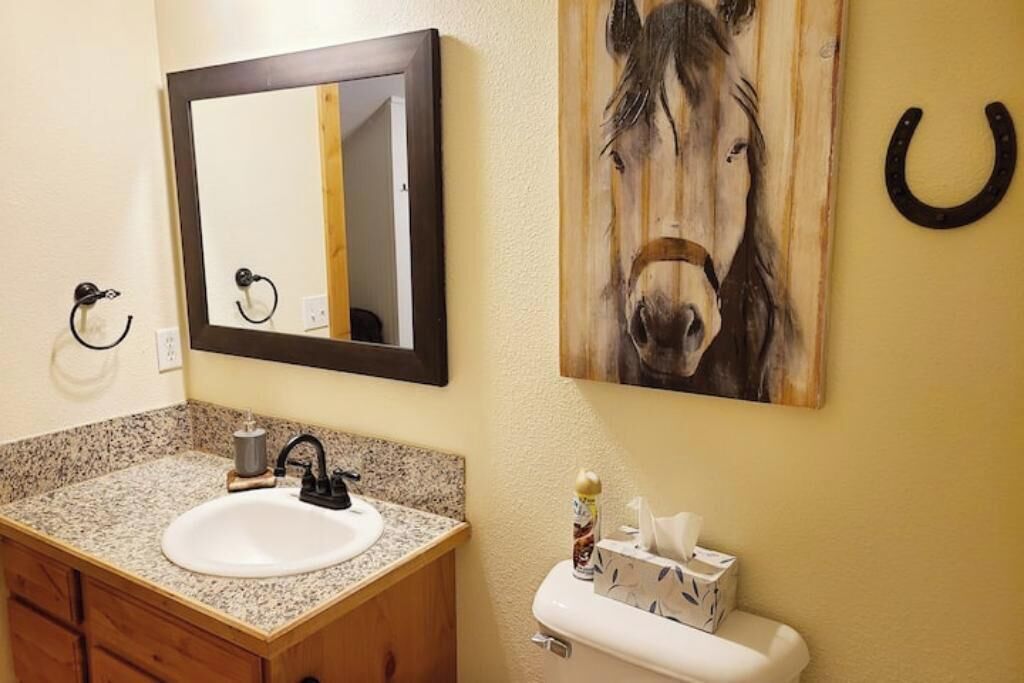 Casa de banho com lavatório de bancada de granito, espelho, sanita com caixa de tecidos e um quadro de cavalos na parede.