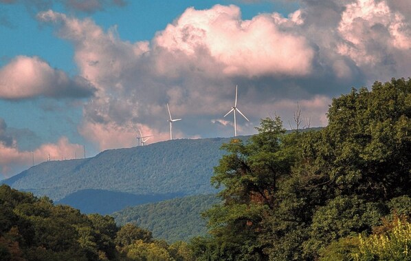 Paisaje con aerogeneradores en una colina, rodeado de un denso bosque verde.