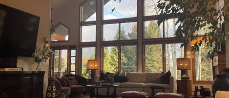 TV connectée, cheminée