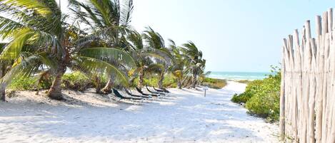 A sandy beach with palm trees and a wooden fence.