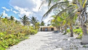 A sandy pathway leading to a building surrounded by palm trees and greenery. - Arena y Mar Beachfront House, El Cuyo by The Spot Rentals (Tizimín)