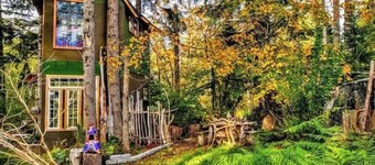 T, s Creekside cabin. King Bed/ Hot tub/ treehouse

