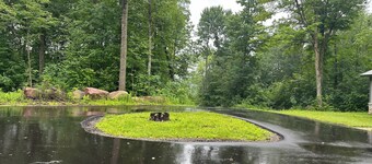 Cabin in the Woods-Sleeps 10!