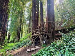 Property grounds - The Blue House. Walkable to Russian River, Family Friendly, AC, Wifi. (Forestville)