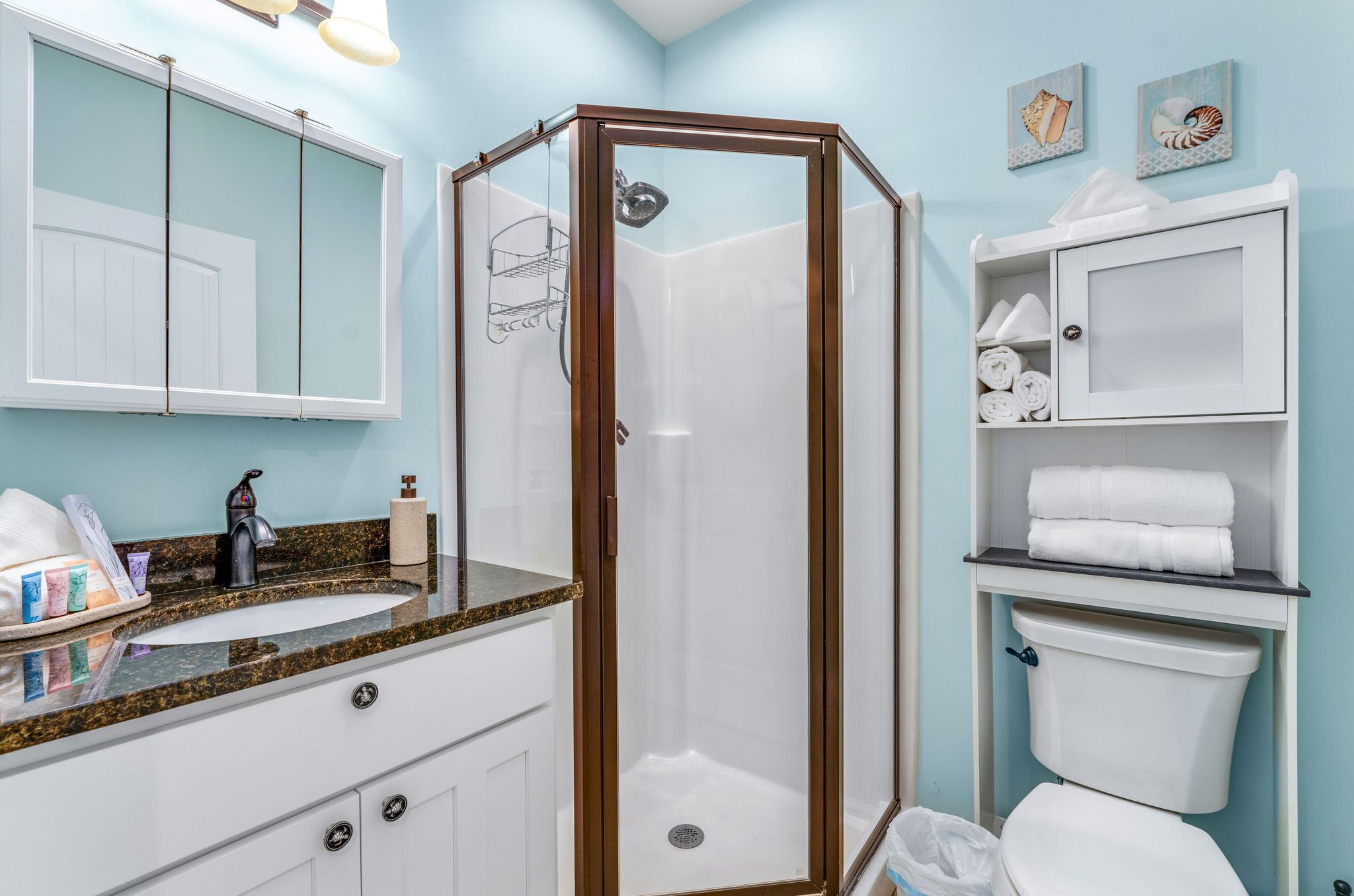 Une salle de bain dotée d’une douche  à parois de verre, de toilettes blanches, d’un lavabo avec un plan de travail en granit et d’un miroir au-dessus du lavabo.