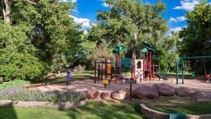 A playground with various play structures, surrounded by trees and a grassy area. - Charming Arvada Home, Community Pool Jun-Aug (Arvada)