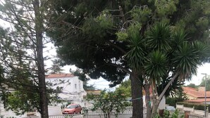 A grassy outdoor area with trees, a white building, and a red car parked nearby. - Chalet 'Villa Con Piscina Privada' with Private Pool, Private Terrace and Wi-Fi (Mas Vilet dels Pins)