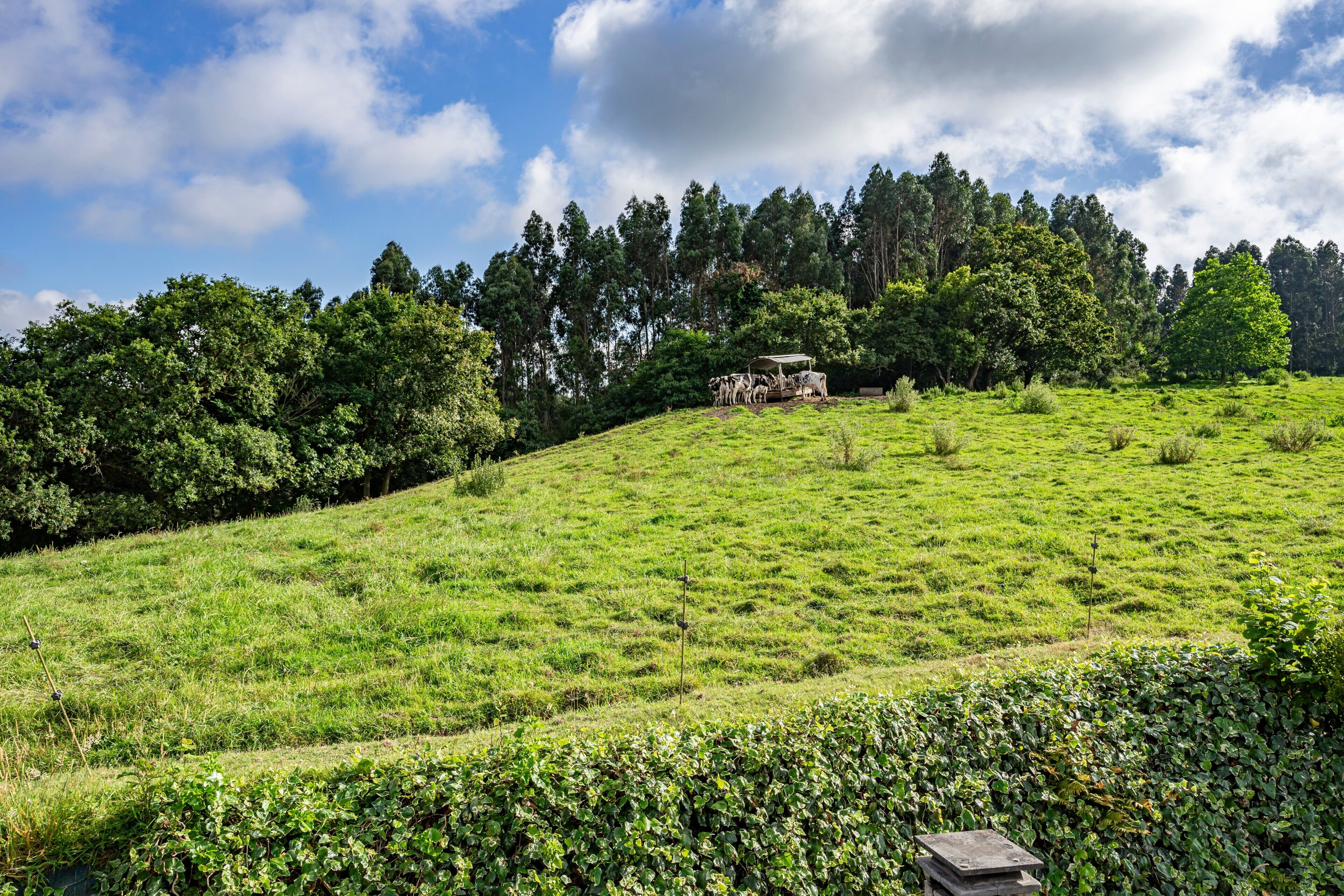 Terrain de l’hébergement 