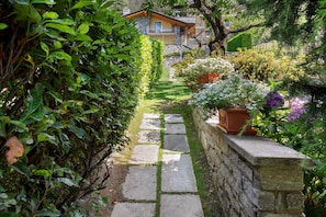 A stone pathway leading to a house surrounded by lush greenery and potted plants.