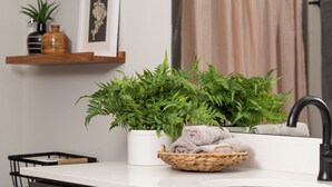 Kylpyhuoneessa on valkoinen pesuallas, tumma puinen kaappi, rottinkikori, jossa on pyyhkeitä, ja ruukkukasvi tasolla.
