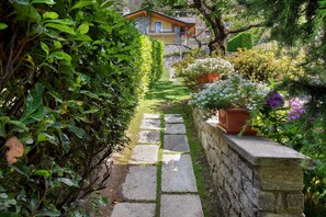 En stenskikkelse fører hen til et hus omgivet af frodig vegetation og krukkeplanter.