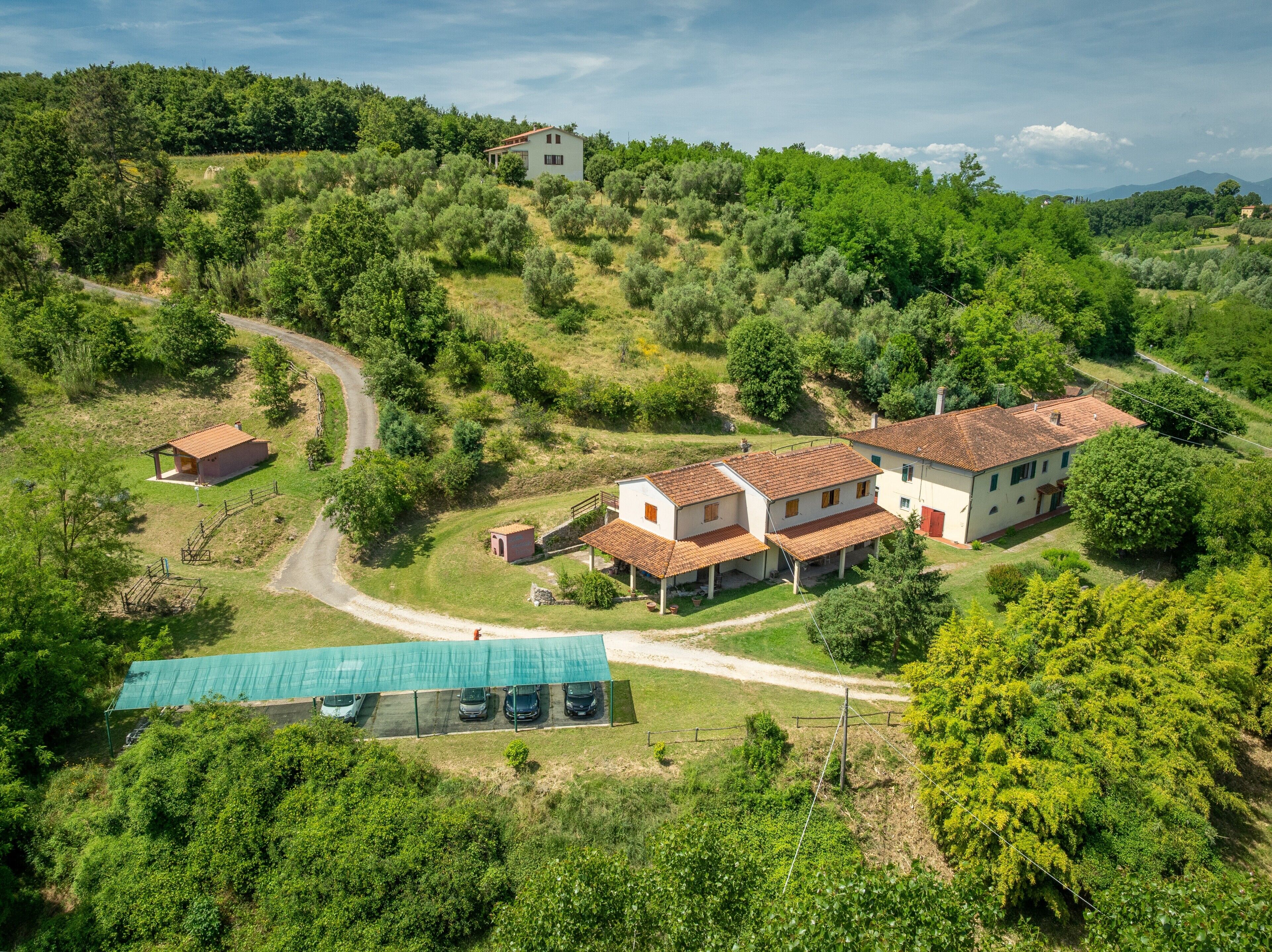 Une maison de campagne avec un toit recouvert de tuiles rouges, entourée d’une végétation luxuriante et bordée d’un chemin sinueux.