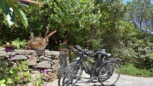 Ein Fahrrad steht auf einer Steinterrasse mit Blumentöpfen und einer Steinmauer im Hintergrund.