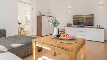 Fernseher