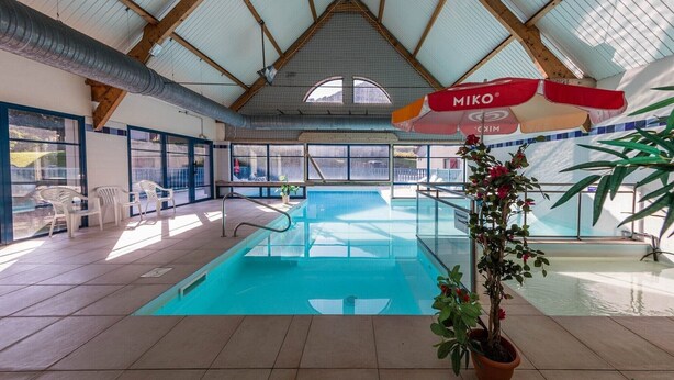 Una piscina interior con suelo de baldosas, techo de madera y una planta en maceta.