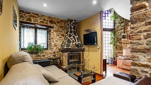 Un salon avec une cheminée en pierre, un canapé, un téléviseur et une plante en pot.