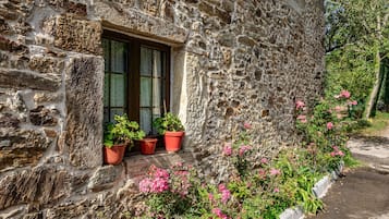 Detalle del exterior
