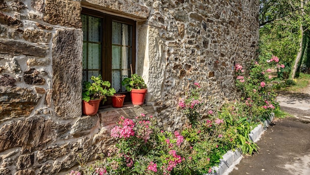 Un bâtiment en pierre avec une fenêtre, des plantes en pot et des fleurs roses.