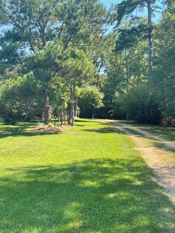 A grassy area with trees and a dirt path. - One-of-a-Kind Railcar Retreat with Pool (Tylertown)