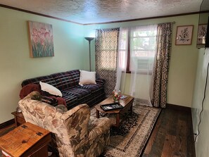 Smart TV - Relaxing, Peaceful 1-bedroom Pet- Friendly Apartment  (Mason City)