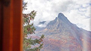 A mountain landscape through a window with a view of a forested area and a prominent peak. - Apartment 'Piccolo Paradiso' with Mountain View, Private Garden and Wi-Fi (Gimillan)