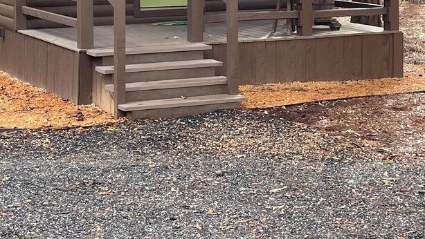A cabin with a green door, a number '109' sign, a porch with steps, and an American flag. - Cozy cabin in pleasant Brewton with AC, WiFi, and fire pit.  (Brewton)
