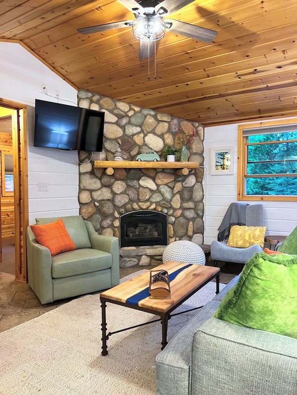 Smart TV, chimenea y libros