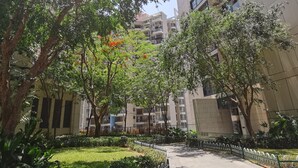 Un sendero bordeado por árboles y un edificio con varios balcones.