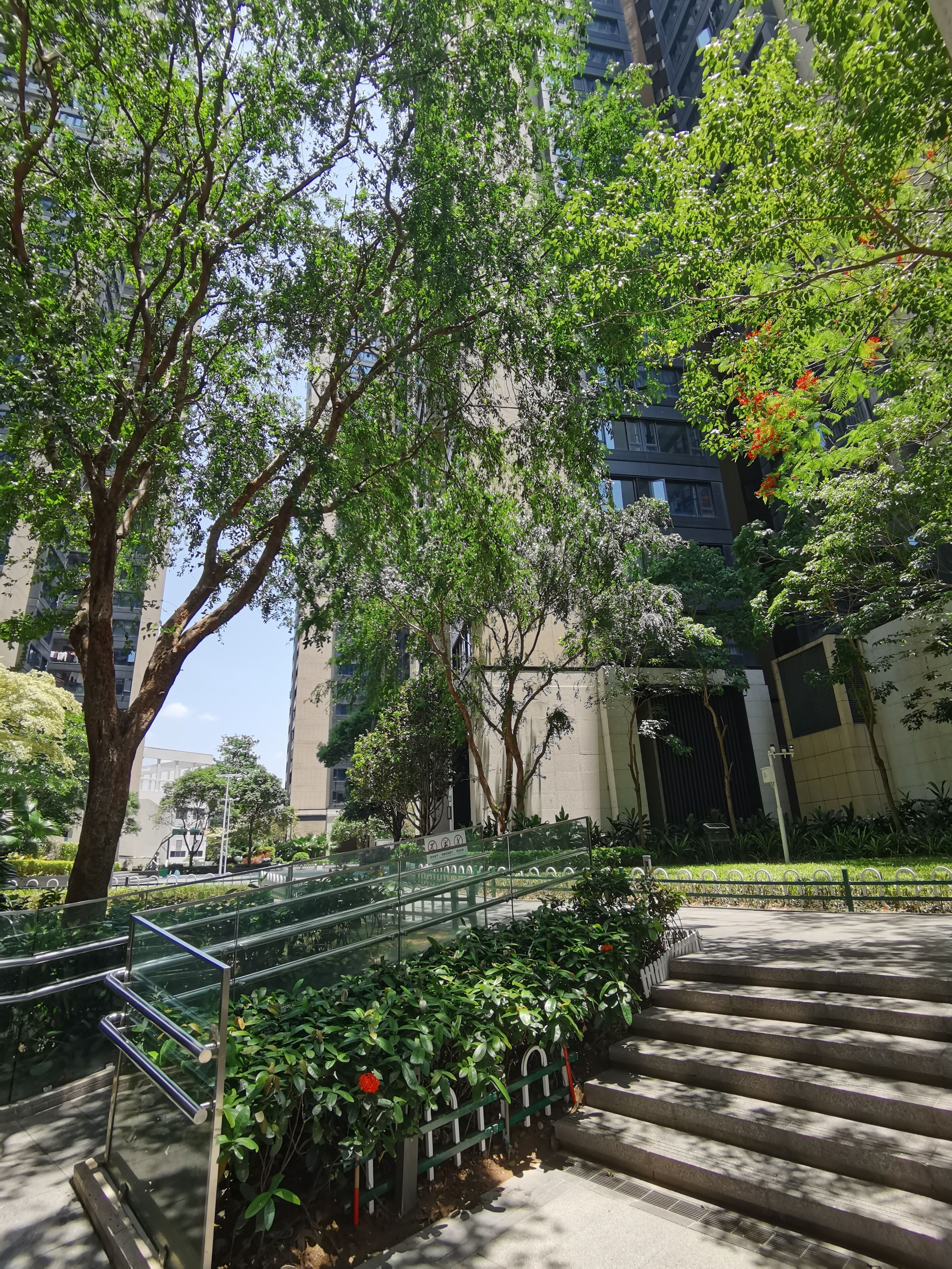 A multi-level outdoor staircase surrounded by lush greenery and trees, leading to a building entrance.