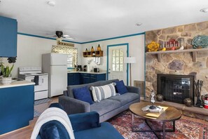 TV, fireplace, books