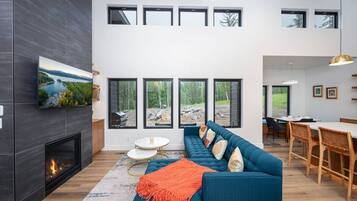 Smart TV, fireplace, books, stereo