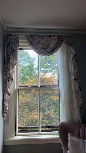 Elite Apartment, Garden View | View from room