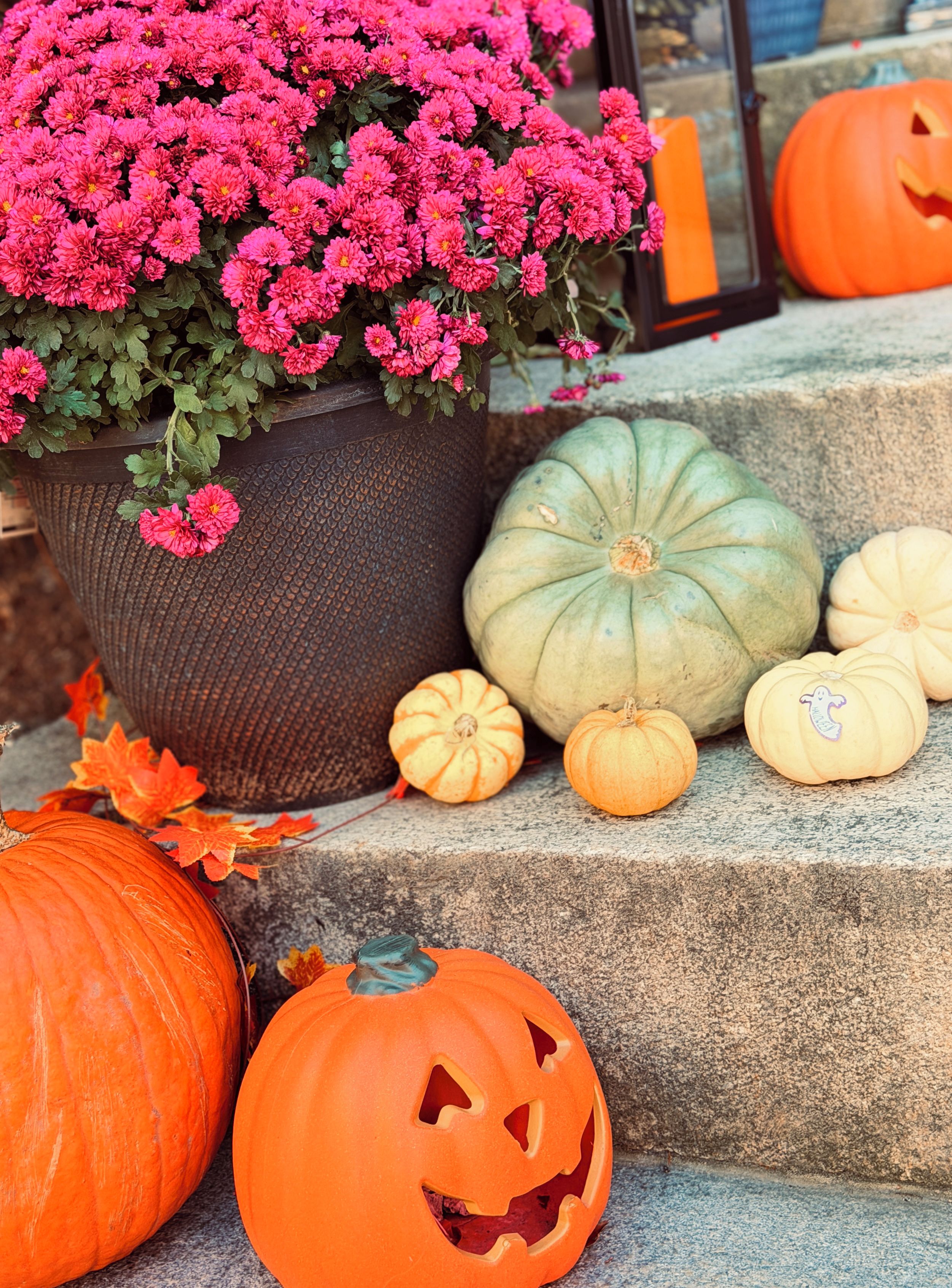 A variety of pumpkins and flowers on steps.