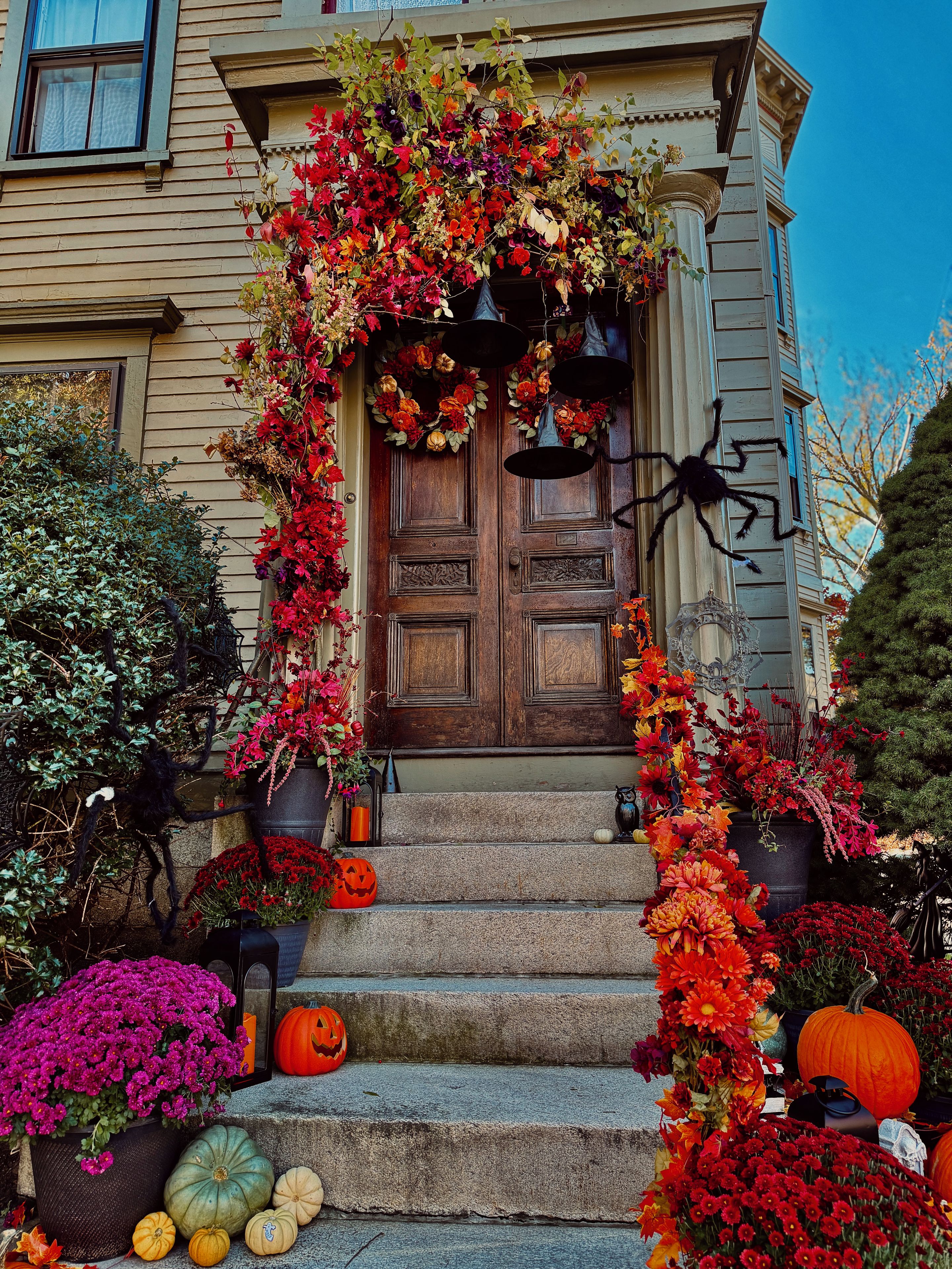 A house with a wooden front door, a porch with steps, and a variety of potted plants and pumpkins.